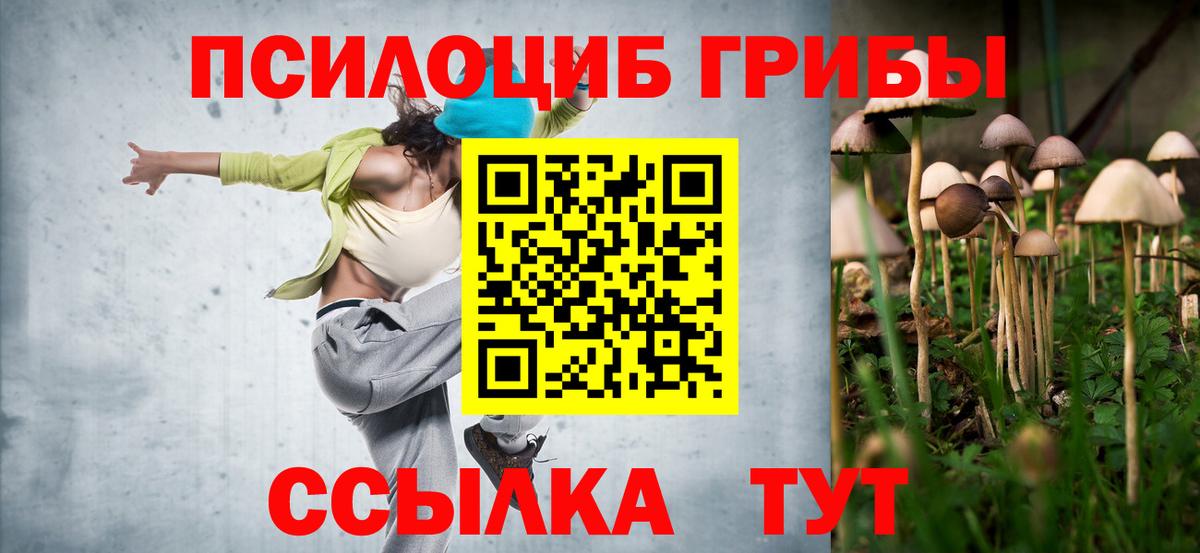 Псилоцибиновые грибы Magic Shrooms Вязники