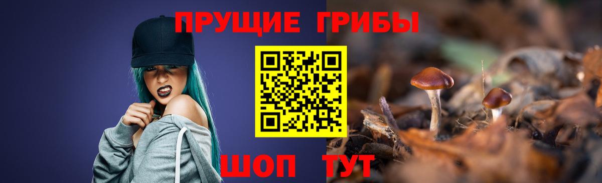 даркнет сайт  Вход с VPN  Вязники  Псилоцибиновые грибы Cubensis 